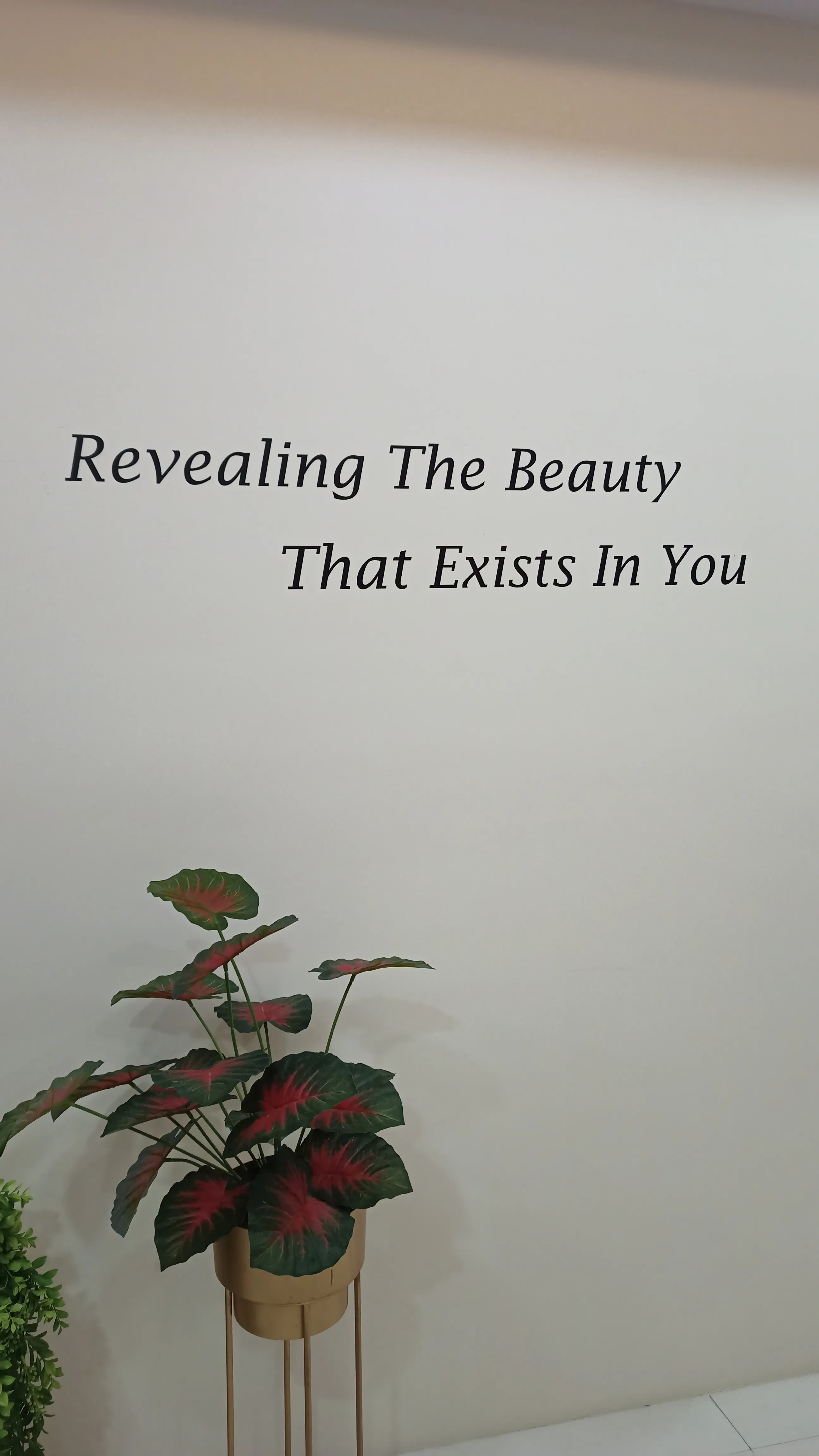 Dermys Clinic Interior